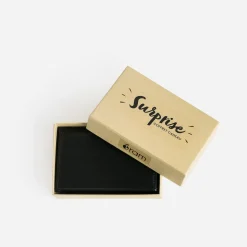 Eram Petites Maroquineries|Sacs^Portefeuille homme NOIR