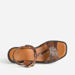 Eram Sandales^Sandale marron cuir effet python IMPRIME