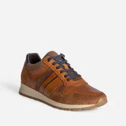 Eram Baskets/Tennis^Tennis COGNAC