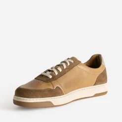 Tbs Baskets/Tennis^Tennis en cuir CAMEL